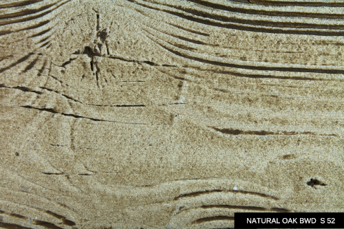 ../images/plaster/palette-ws/NATURAL OAK BWD S 52.png